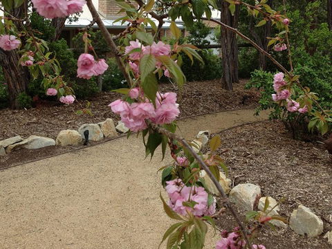 Silverleaf Cottage - Port Augusta Accommodation 2