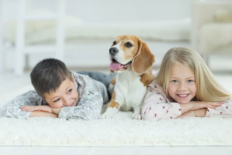 BOUTIQUE STAYS - Brighton Rose - Port Augusta Accommodation 2