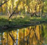 On The Banks - Port Augusta Accommodation