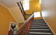 Blue Lyrebird Co-Living Blue Mountains - thumb 2