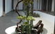 Shizuka Ryokan Japanese Country Spa & Wellness Retreat - thumb 3
