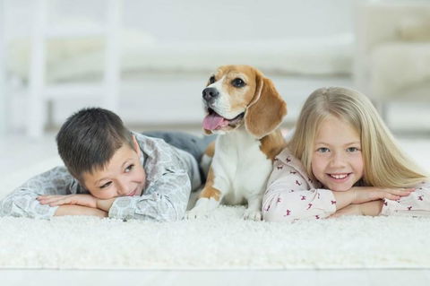 BOUTIQUE STAYS - The Residence - Port Augusta Accommodation 3
