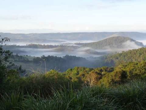 Maleny Luxury Cottages - Port Augusta Accommodation 5
