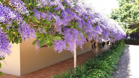 Bendles Cottages And Country Villas - Port Augusta Accommodation 4