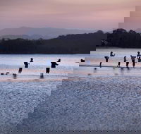 Tallebudgera Creek Tourist Park - Port Augusta Accommodation