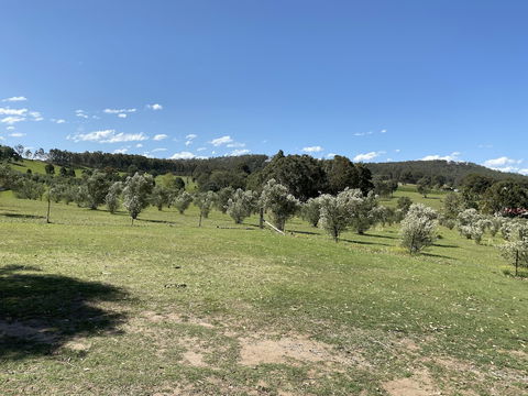 Hunter Homestead - Port Augusta Accommodation 0