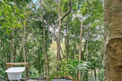 Wanggulay Treetops Cairns City - Port Augusta Accommodation 7