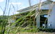 Tonic Hotel - thumb 1