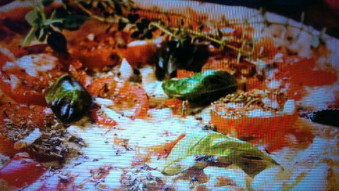 Alfio's Pizzeria - Port Augusta Accommodation 0