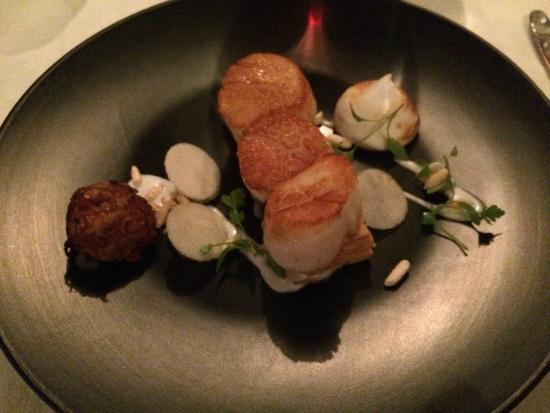 Clubs Noosa Heads QLD Port Augusta Accommodation