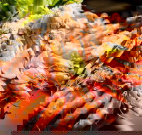 Table 30 - Port Augusta Accommodation