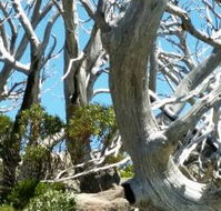Alpine Eyre - Port Augusta Accommodation