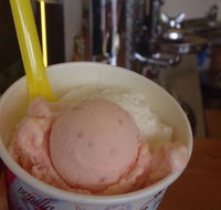 Bermagui Gelati Clinic - Port Augusta Accommodation