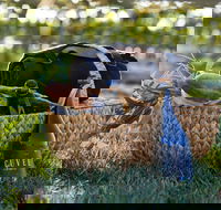 Rowlee Wines Picnic Hamper - Port Augusta Accommodation