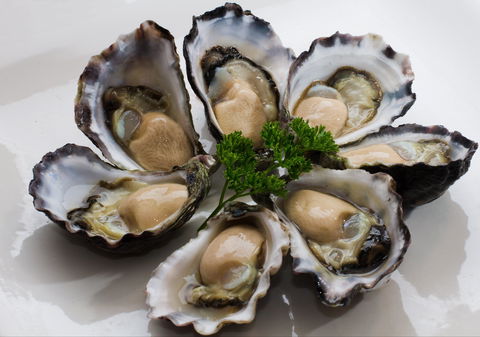 Tathra Oysters - Port Augusta Accommodation 0