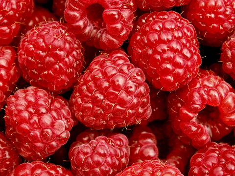 Christmas Hills Raspberry Farm Cafe - Port Augusta Accommodation 2