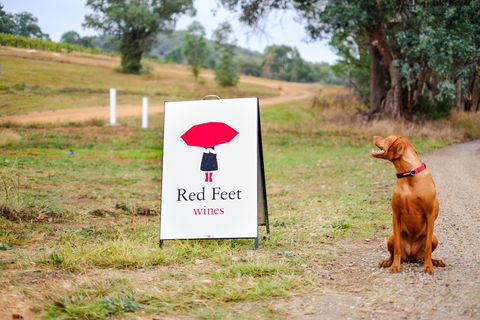 Red Feet Wines - Port Augusta Accommodation 2