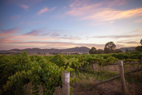 Thistle Hill Wines - Port Augusta Accommodation 2