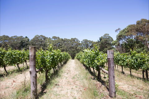 Mount Macedon Winery - Port Augusta Accommodation 1
