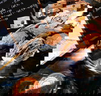 Nutshell Hut - Port Augusta Accommodation