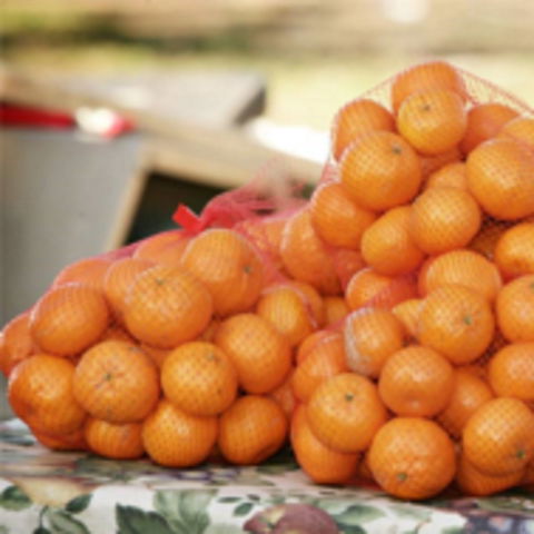 Mathoura Mandarins - Port Augusta Accommodation 0