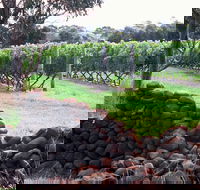 Spring Vale Vineyard - Port Augusta Accommodation