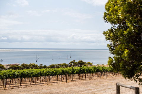 Bay Of Shoals Wines - Port Augusta Accommodation 2