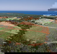 Wise Wine - Port Augusta Accommodation