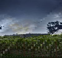 Dalrymple Vineyards - Port Augusta Accommodation