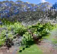 Woongooroo Estate Winery - Port Augusta Accommodation