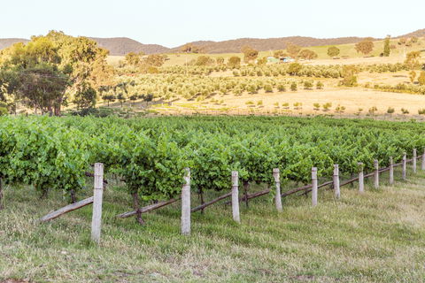 Guneemooroo Estate - Port Augusta Accommodation 2
