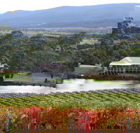 Milton Vineyard - Port Augusta Accommodation