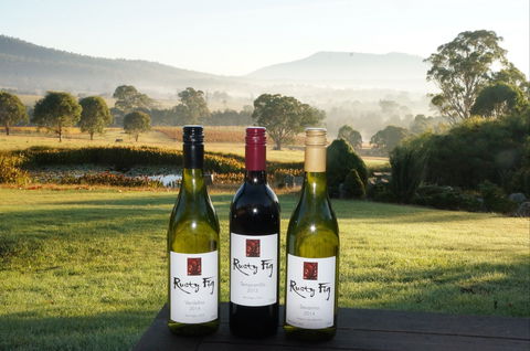 Rusty Fig Wines - Port Augusta Accommodation 0