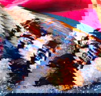 Delhi Grill - Port Augusta Accommodation