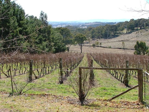 Habitat Vineyard - Port Augusta Accommodation 0