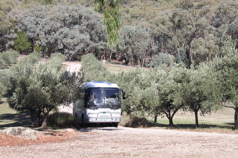 L'Oliveraie Olive Grove - Port Augusta Accommodation 2