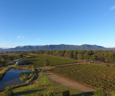 Mistletoe Winery - Port Augusta Accommodation 0