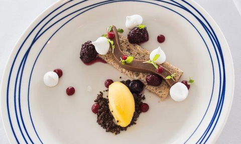 Wild Herring - Port Augusta Accommodation 0