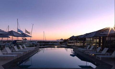 Wild Herring - Port Augusta Accommodation 1
