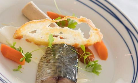 Wild Herring - Port Augusta Accommodation 2