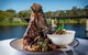 Kempsey-Macleay RSL Club - thumb 0