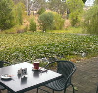Avocados - Port Augusta Accommodation