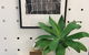 Brick+Mortar Creative - thumb 2