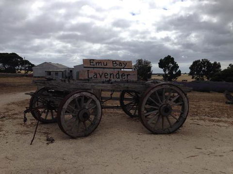 Emu Bay Lavender - Port Augusta Accommodation 0