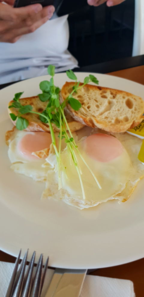 Migaloo's Cafe - Port Augusta Accommodation 1