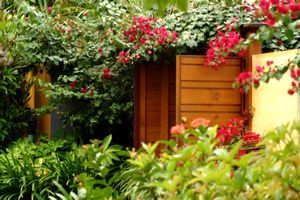 Pink Flamingo - Port Augusta Accommodation 0