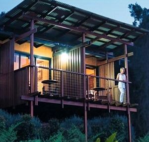 O'Reilly's Rainforest Guesthouse - Port Augusta Accommodation 1