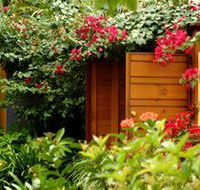 Pink Flamingo - Port Augusta Accommodation