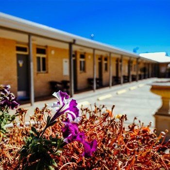MAS Country Club Motor Inn - Port Augusta Accommodation 1