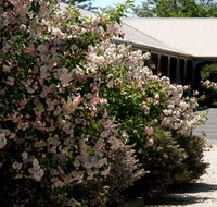 Wine Village Motor Inn - Port Augusta Accommodation